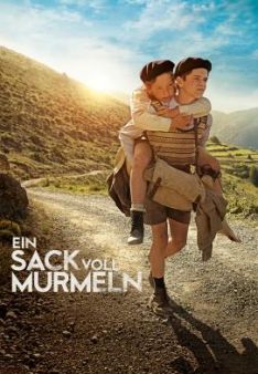 Ein Sack voll Murmeln
