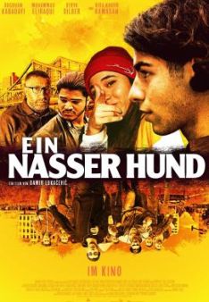 Ein nasser Hund