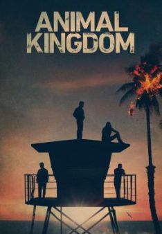 Animal Kingdom - Staffel 6
