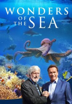 Wonders of the Sea