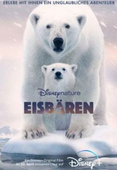 Eisbären