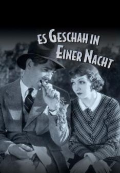 Es geschah in einer Nacht