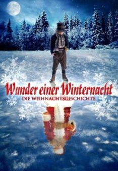 Wunder einer Winternacht