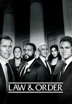Law & Order - Staffel 22