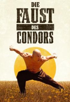 Die Faust des Condors