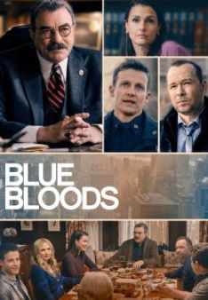 Blue Bloods - Crime Scene New York - Staffel 13