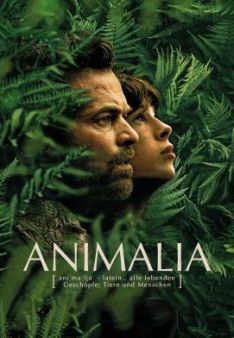 Animalia