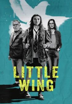Little Wing