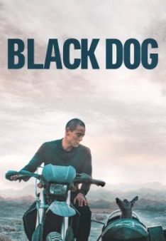Black Dog - Weggefährten