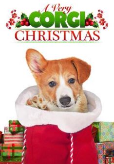 A Very Corgi Christmas - Liebe auf vier Pfoten