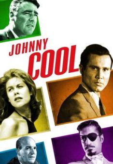 Die Rache des Johnny Cool