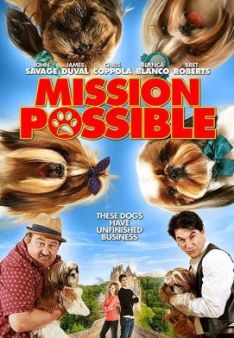 Mission Possible