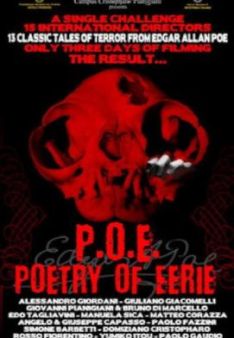 Edgar Allan Poe - Geschichten des Wahnsinns