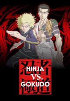 Ninja Vs. Gokudo - Staffel 1