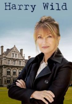 Harry Wild - Mörderjagd in Dublin - Staffel 1