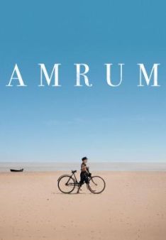 Amrum