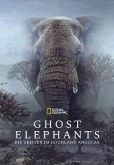 Ghost Elephants - Die Geister im Hochland Angolas