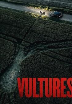Vultures