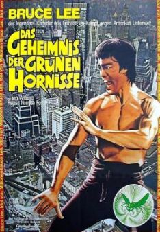 Bruce Lee – Das Geheimnis der grünen Hornisse