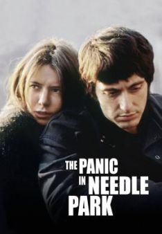 Panik im Needle Park