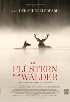 Das Flüstern der Wälder