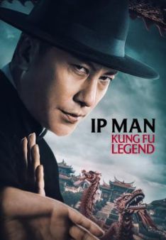 Ip Man Kung Fu Legend