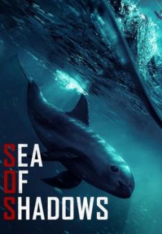 Sea of Shadows – Kampf um das Kokain des Meeres