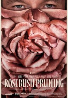 Rosebush Pruning