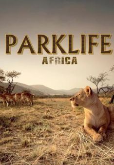 Parklife: Afrika - Staffel 1