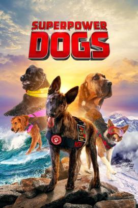 Superpower Dogs stream