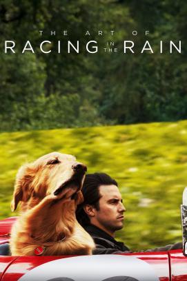 The Art of Racing in the Rain stream