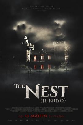 The Nest stream