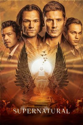 Supernatural - Staffel 14 stream