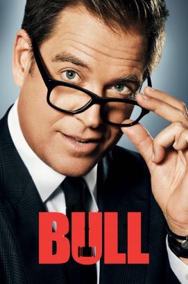 Bull - Staffel 3 stream