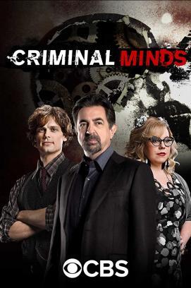 Criminal Minds - Staffel 15 stream