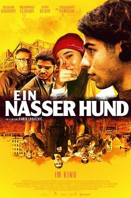 Ein nasser Hund stream