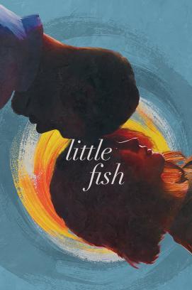 Little Fish stream