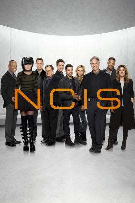 Navy CIS - Staffel 19 stream