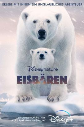 Eisbären stream