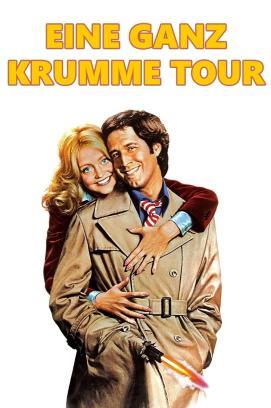 Eine ganz krumme Tour stream