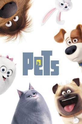 Pets stream