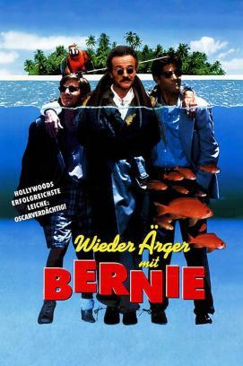 Wieder Ärger mit Bernie stream