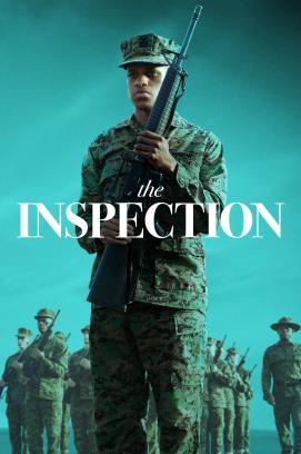 The Inspection stream