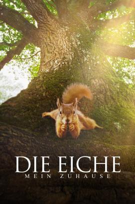 Die Eiche - Mein Zuhause stream