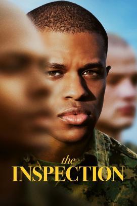 The Inspection stream