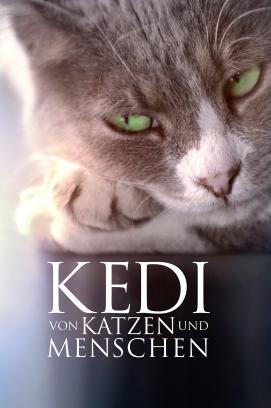 Kedi - Von Katzen und Menschen stream