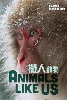 Tiere wie wir - Staffel 1 stream