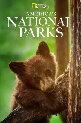Amerikas Nationalparks - Staffel 1 stream