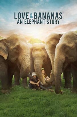 Love & Bananas: An Elephant Story stream