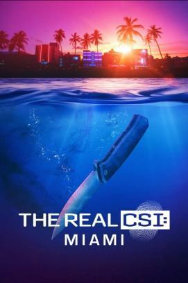 The Real CSI: Miami - Staffel 1 stream